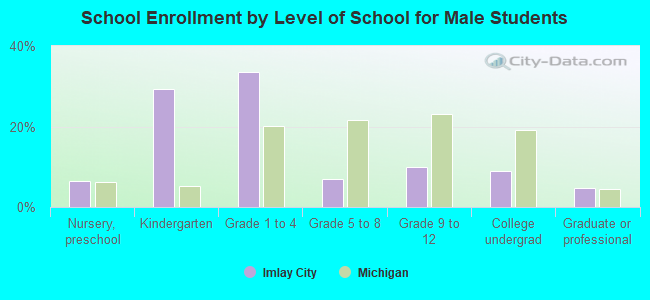 School Enrollment by Level of School for Male Students