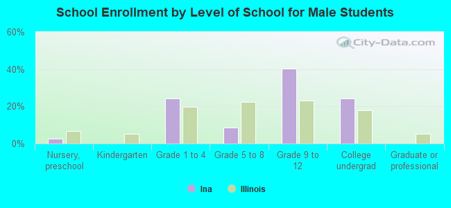 School Enrollment by Level of School for Male Students