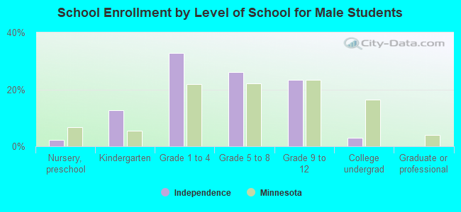 School Enrollment by Level of School for Male Students