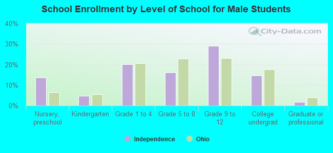 School Enrollment by Level of School for Male Students