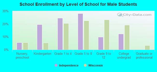 School Enrollment by Level of School for Male Students