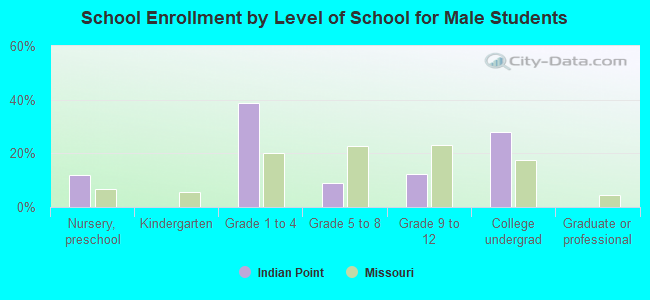 School Enrollment by Level of School for Male Students