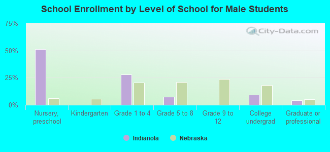 School Enrollment by Level of School for Male Students