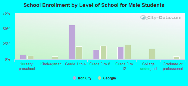 School Enrollment by Level of School for Male Students