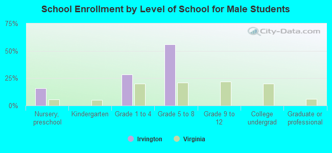 School Enrollment by Level of School for Male Students