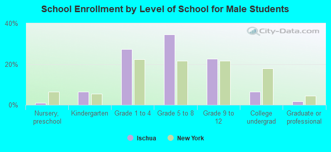 School Enrollment by Level of School for Male Students