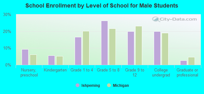 School Enrollment by Level of School for Male Students