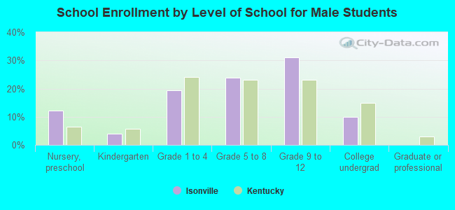 School Enrollment by Level of School for Male Students