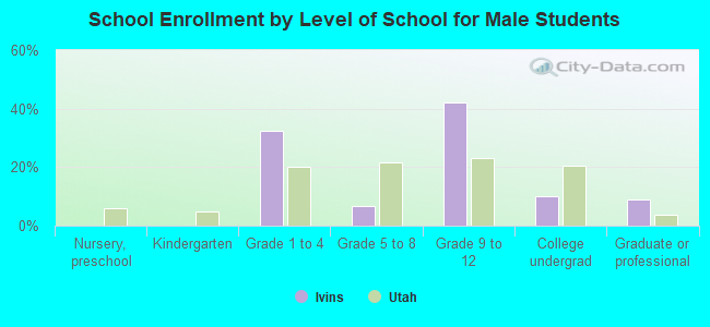 School Enrollment by Level of School for Male Students