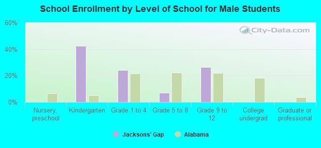 School Enrollment by Level of School for Male Students