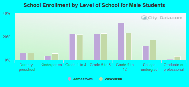 School Enrollment by Level of School for Male Students