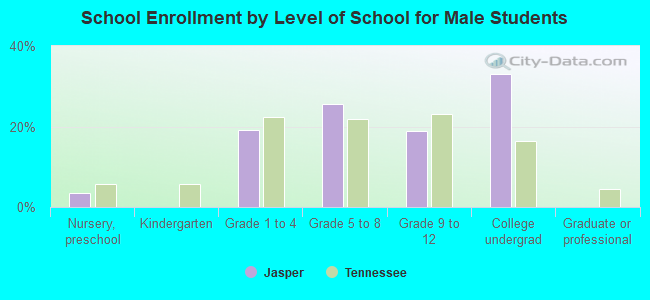 School Enrollment by Level of School for Male Students