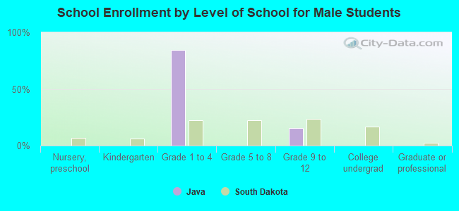 School Enrollment by Level of School for Male Students