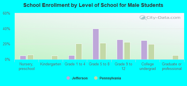 School Enrollment by Level of School for Male Students