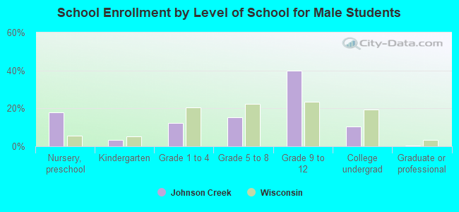 School Enrollment by Level of School for Male Students