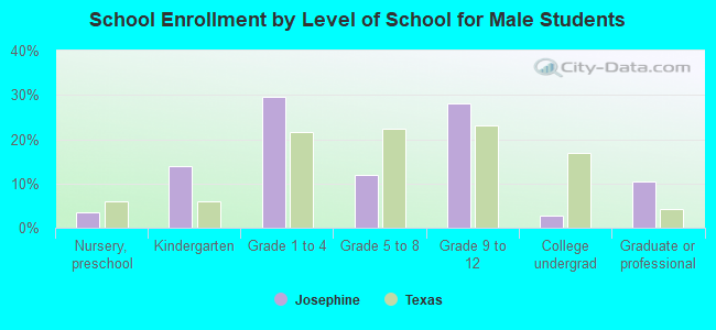 School Enrollment by Level of School for Male Students