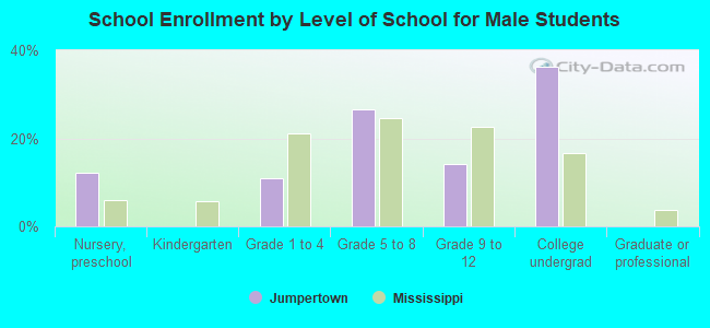 School Enrollment by Level of School for Male Students