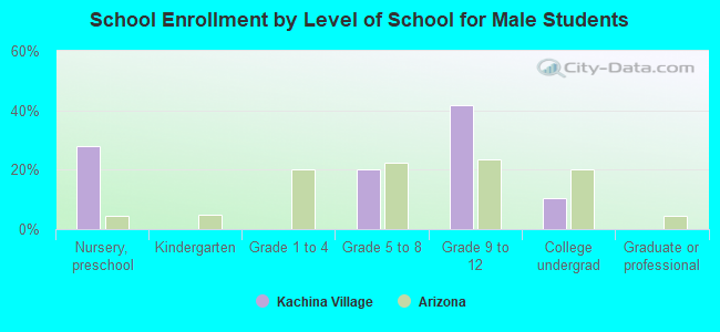 School Enrollment by Level of School for Male Students