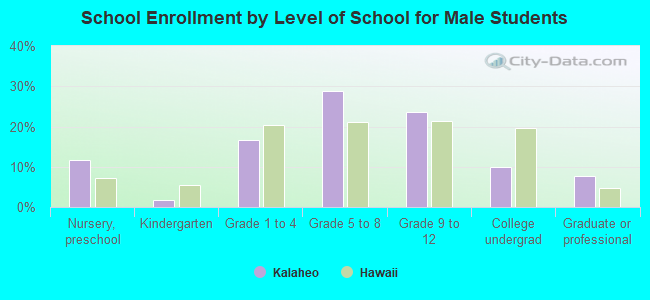 School Enrollment by Level of School for Male Students