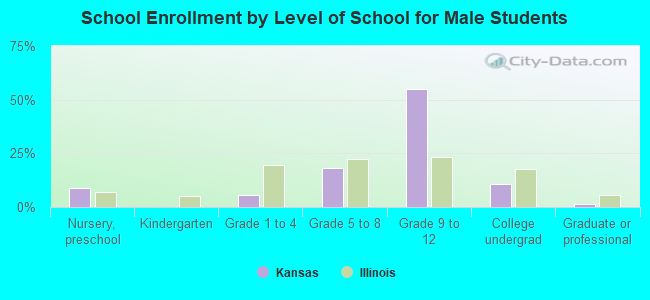 School Enrollment by Level of School for Male Students