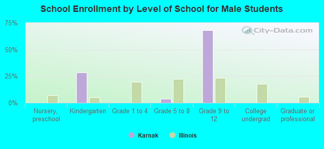 School Enrollment by Level of School for Male Students