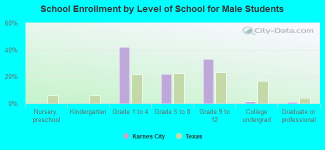 School Enrollment by Level of School for Male Students