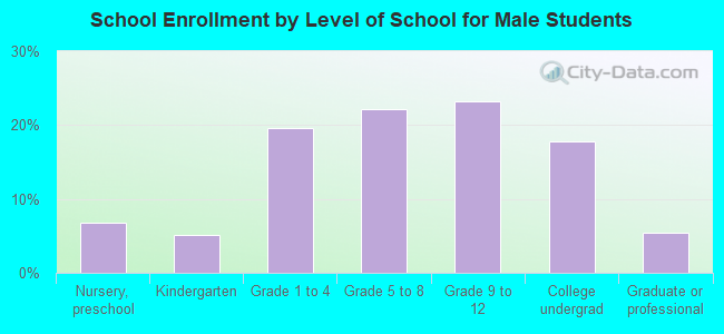 School Enrollment by Level of School for Male Students