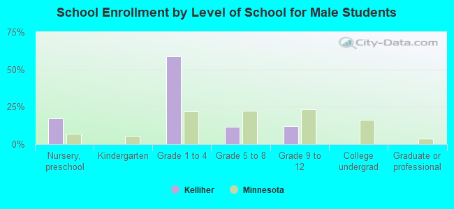 School Enrollment by Level of School for Male Students