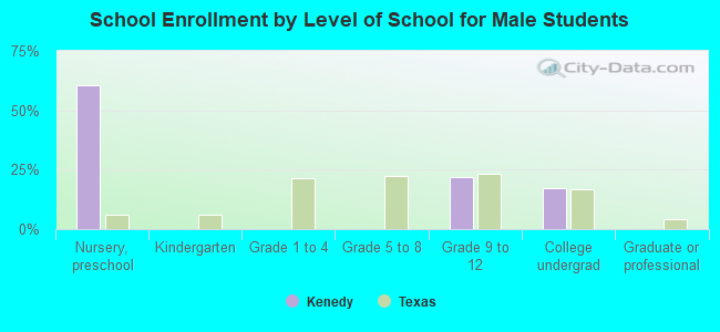 School Enrollment by Level of School for Male Students