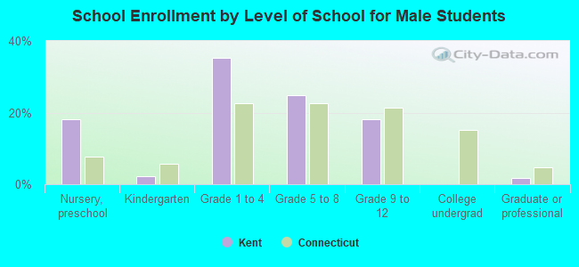 School Enrollment by Level of School for Male Students