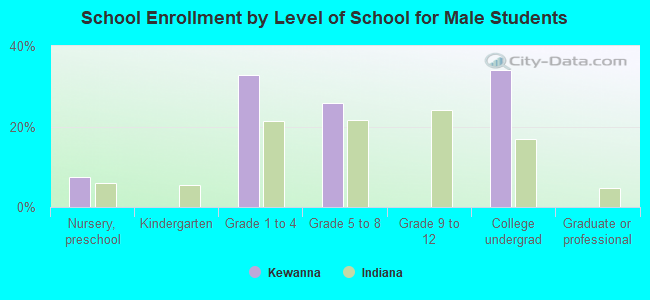 School Enrollment by Level of School for Male Students