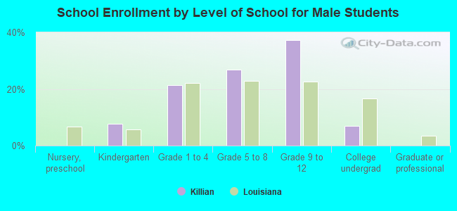 School Enrollment by Level of School for Male Students