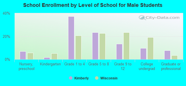 School Enrollment by Level of School for Male Students