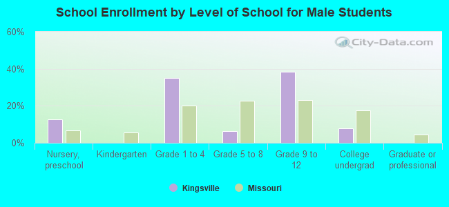 School Enrollment by Level of School for Male Students