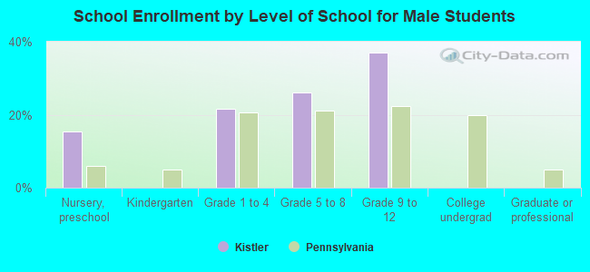 School Enrollment by Level of School for Male Students