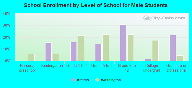 School Enrollment by Level of School for Male Students