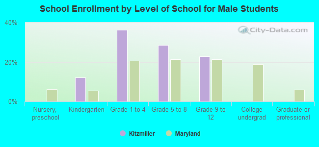 School Enrollment by Level of School for Male Students