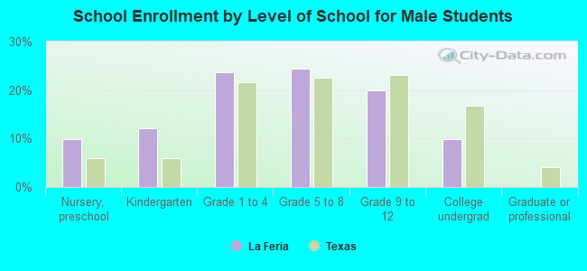 School Enrollment by Level of School for Male Students