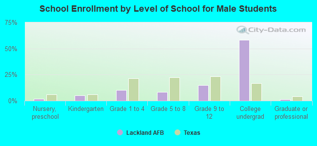 School Enrollment by Level of School for Male Students