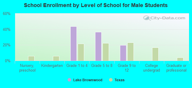 School Enrollment by Level of School for Male Students