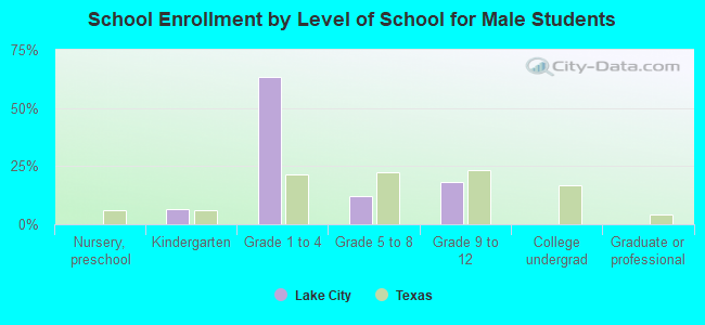 School Enrollment by Level of School for Male Students