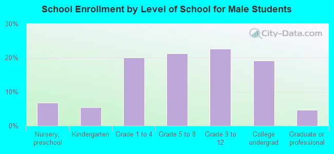 School Enrollment by Level of School for Male Students