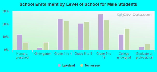 School Enrollment by Level of School for Male Students