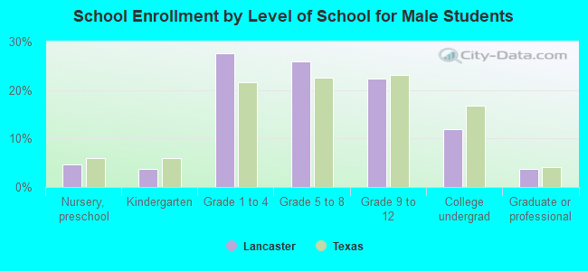 School Enrollment by Level of School for Male Students