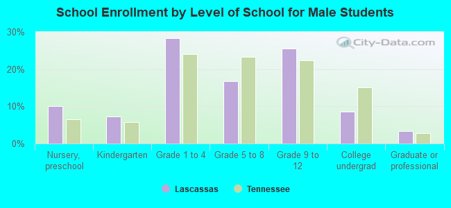 School Enrollment by Level of School for Male Students