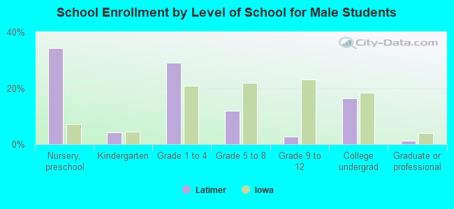 School Enrollment by Level of School for Male Students