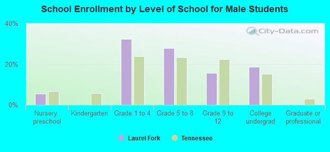 School Enrollment by Level of School for Male Students