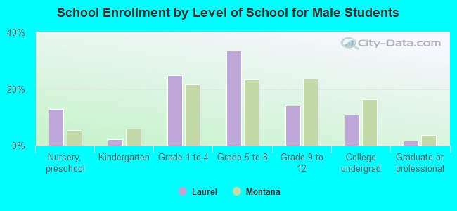 School Enrollment by Level of School for Male Students