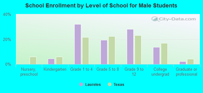 School Enrollment by Level of School for Male Students