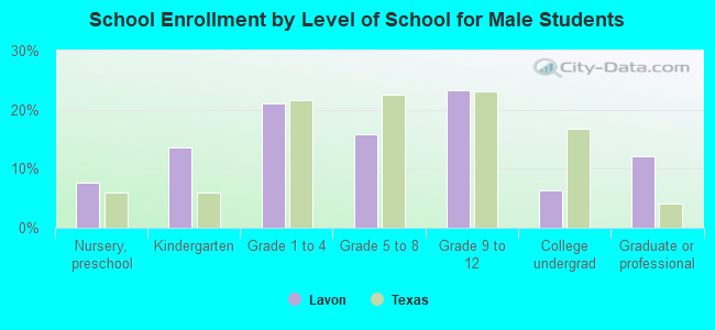 School Enrollment by Level of School for Male Students